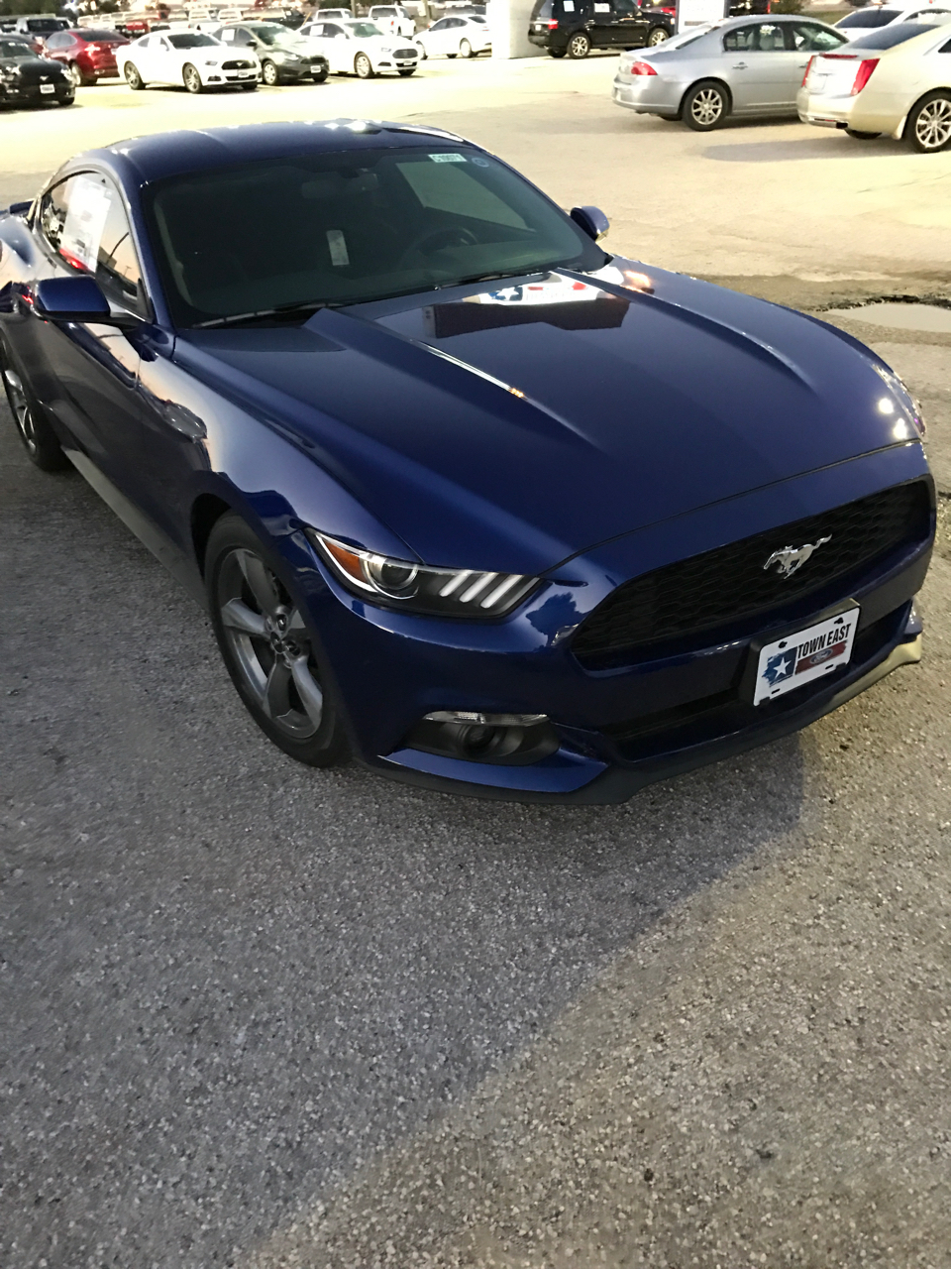 美帝购车道奇charger野马370z三选一