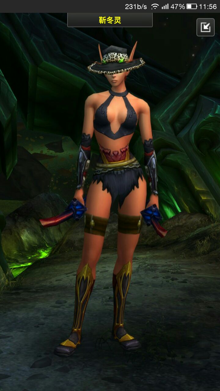 求一套女血精灵dh的性感幻化