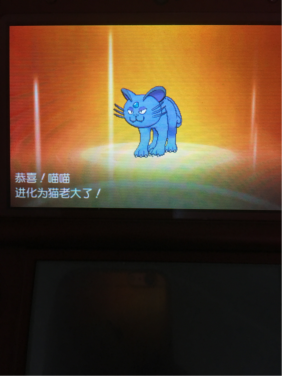 萌新的第一只闪光啊就特么这么毁了