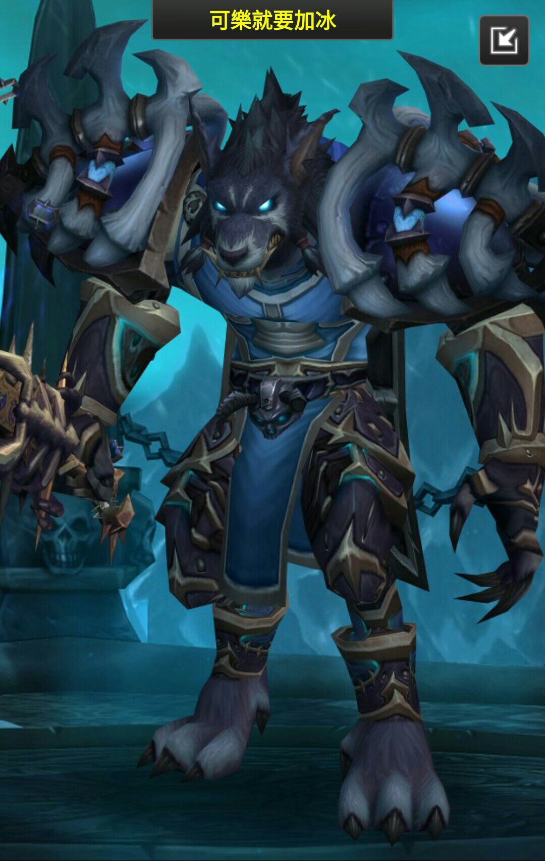 幻化新人求一套dk幻化,种族狼人