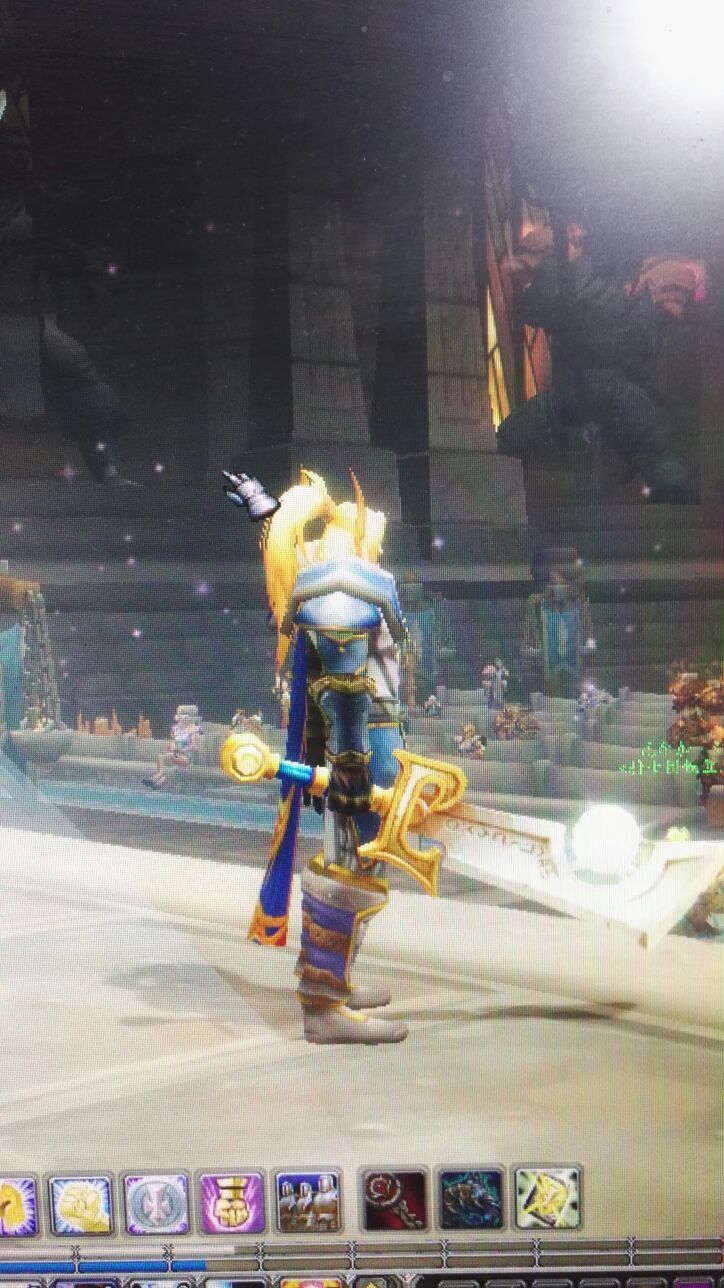 板甲蓝色提尔之手幻化偏圣骑