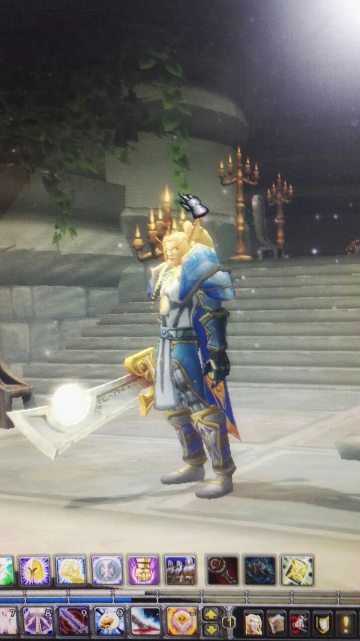 板甲蓝色提尔之手幻化偏圣骑