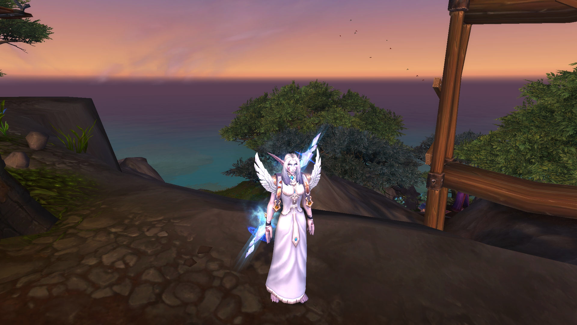 自己的暗夜冰法师幻化