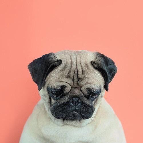 国服电信一区巨龙之吼部落大秘境冲层固定队招募工作