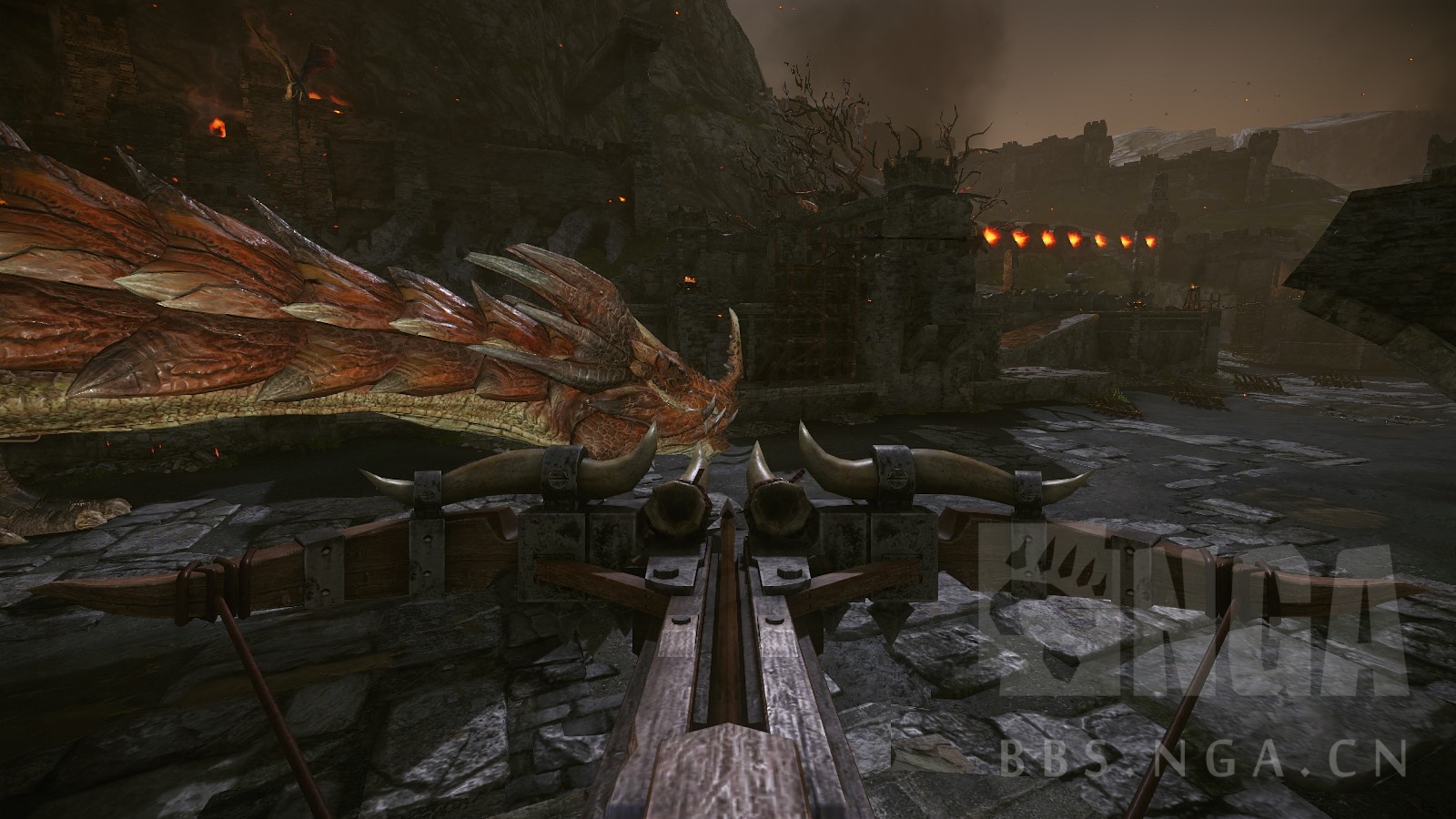 木子老山龙图片欣赏