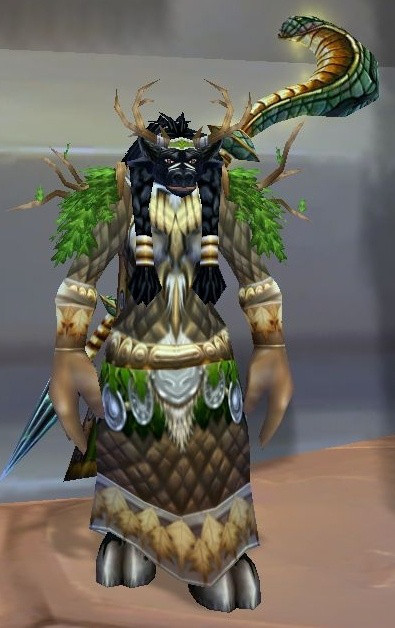 谁知道梦境林地神奇研究员这身的调料包啊