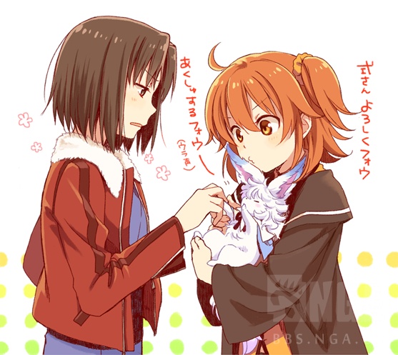 [从者测评]哈根达斯女王,空之境界两仪式(ryougi shiki)及空境微介绍