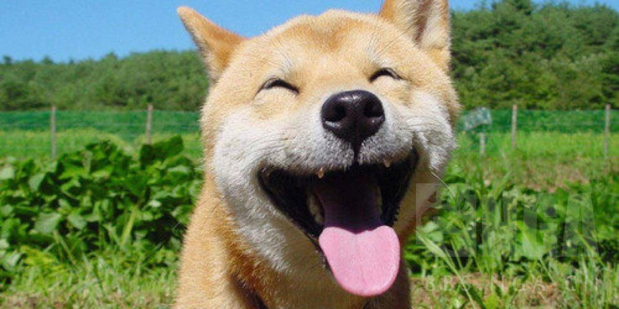 [团队招募] [pve] 美服 伊利丹 养老公会《happy d