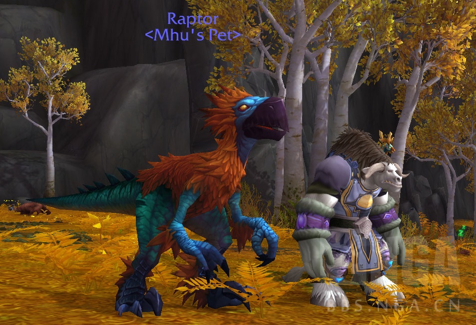 资料翻译宠物相关72版本猎人新增各种宠物信息以及2只新灵魂兽萨满