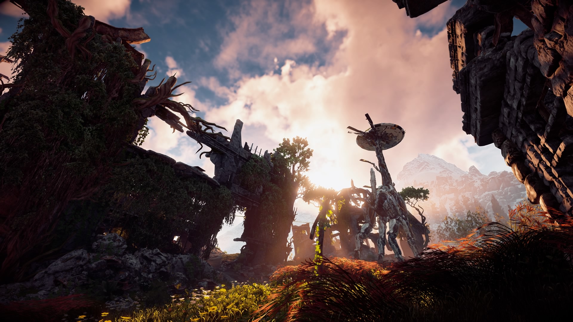 游戏综合讨论 [活动] 《地平线:零之曙光》摄影大赛开启!