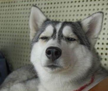 [overlord] 补骨傲天小说,看到第十卷大战武王,看之前想安兹 怎么也得