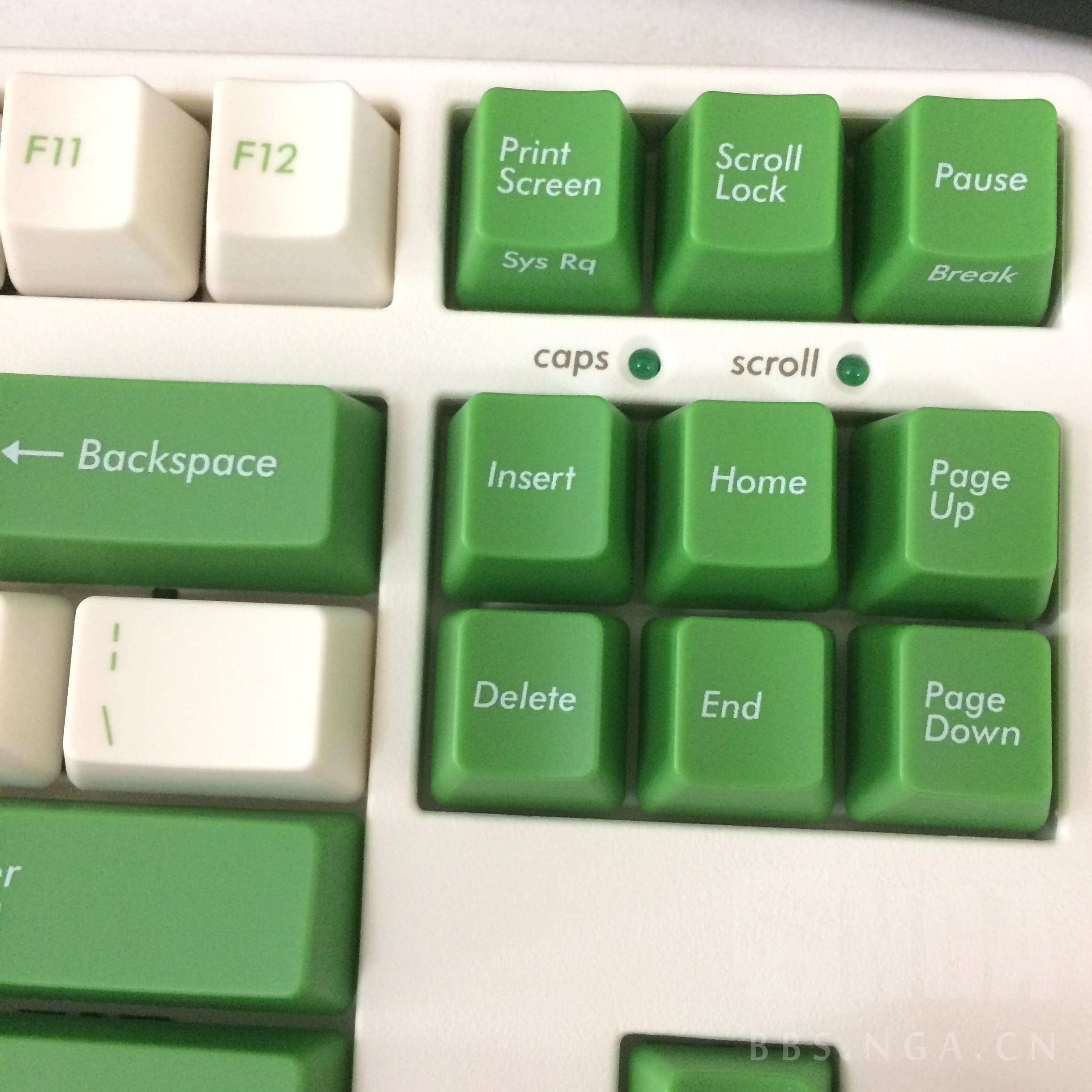 以及与大f hakua纯白,奶酪白简单对比