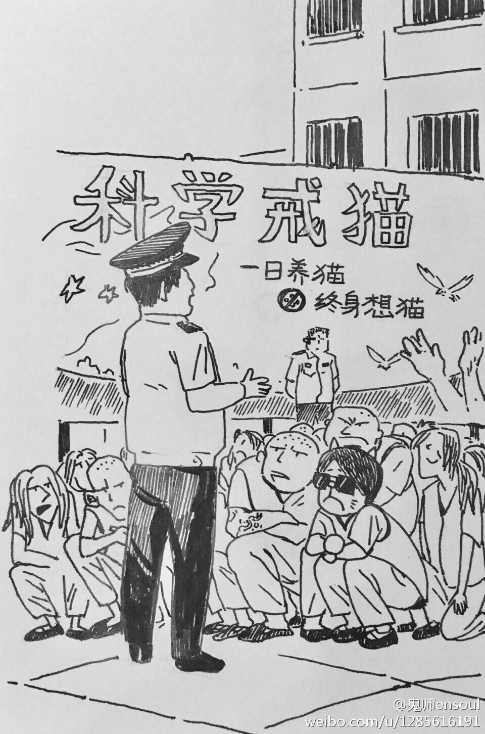 [咕的一声笑出来]今天的云养猫