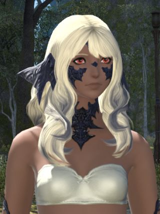 关于黑龙女怎么捏的问题