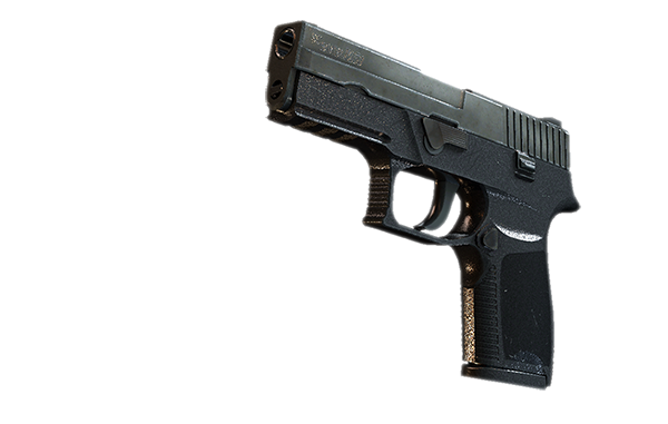 csgo p250图片