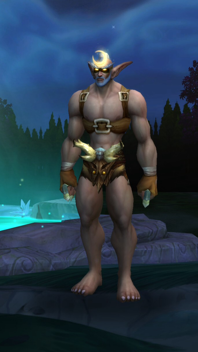 [皮甲]请问德鲁伊暗夜精灵男还有救吗