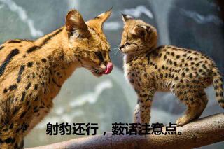 理性蒸发a我tm上班