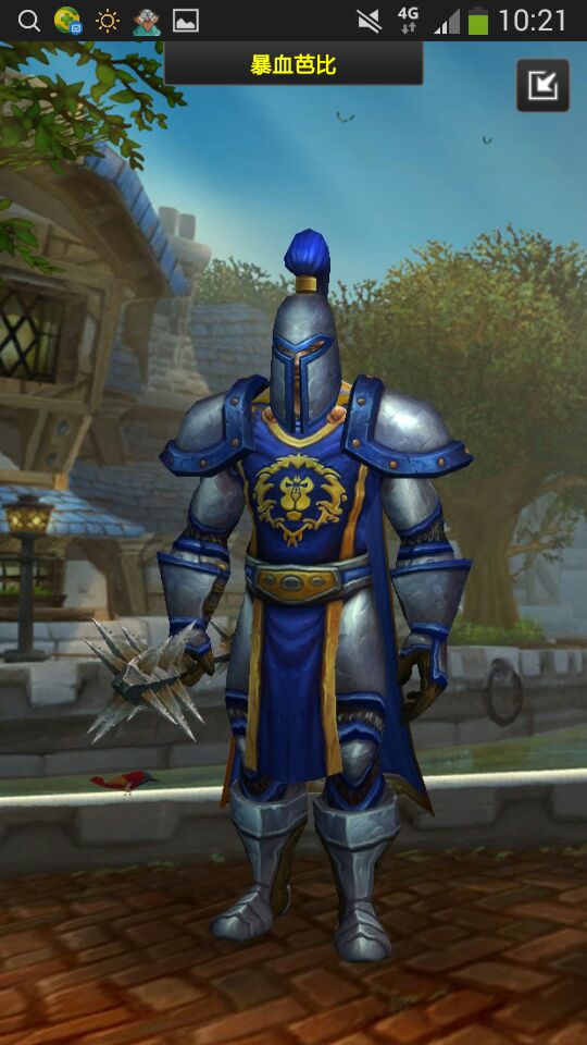 法师暴风城卫兵幻化