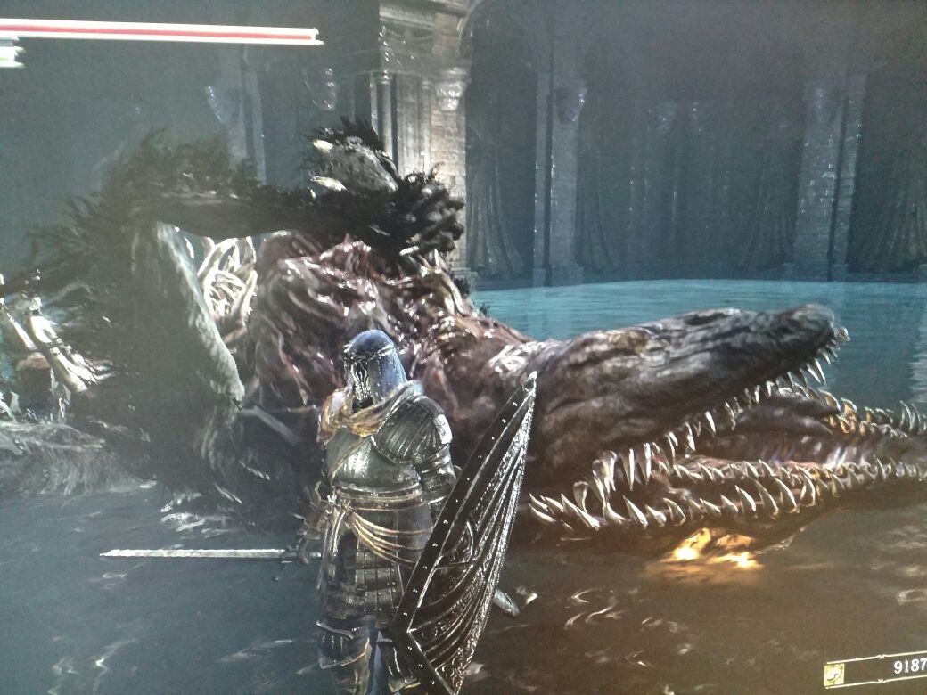 可怜的鳄鱼老鼠