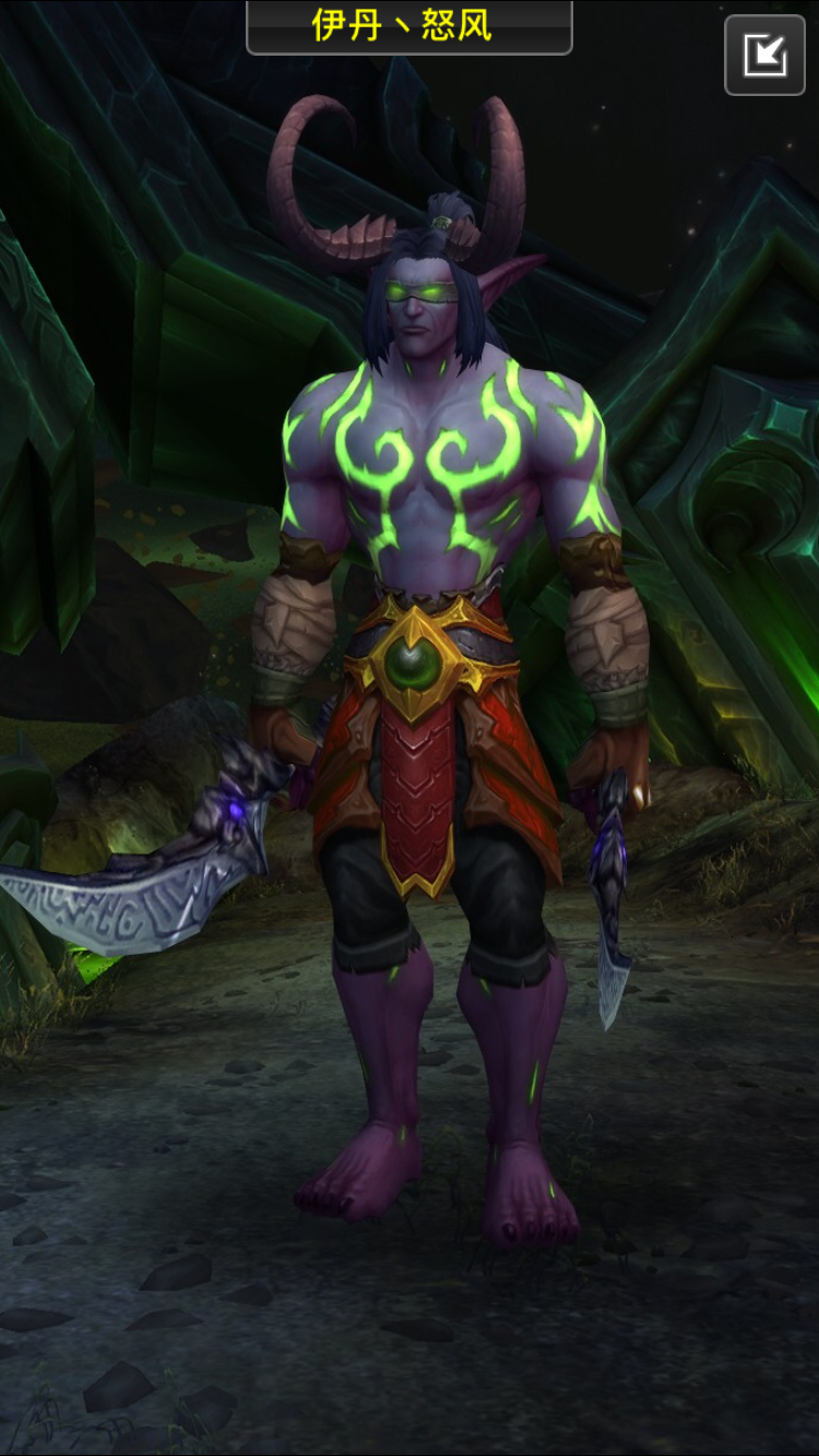 伊利丹终极幻化