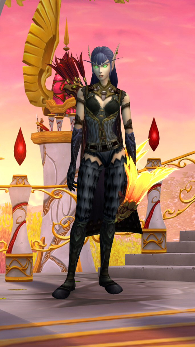 精心搭配的锁甲超性感女血精灵猎人