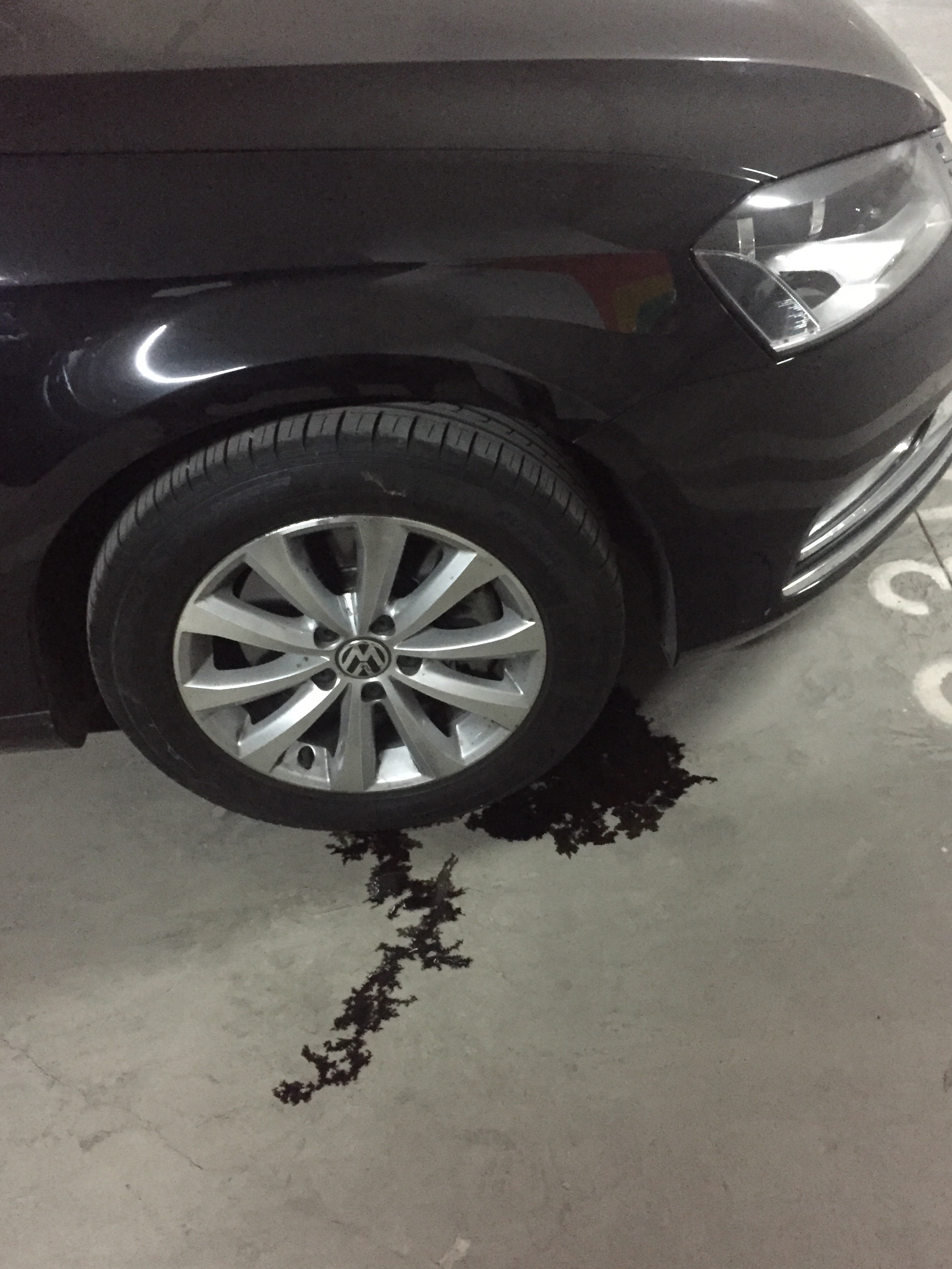 隔壁车位的车机油漏成河了