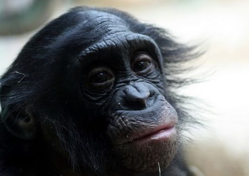 吐槽一看到小体型通风口这些词汇我只能想到的是这tm