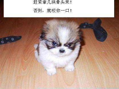 作为大先知,我就不服气了啊,凭什么?