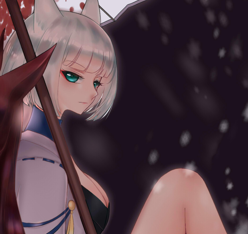 其他同人板绘赤城加贺