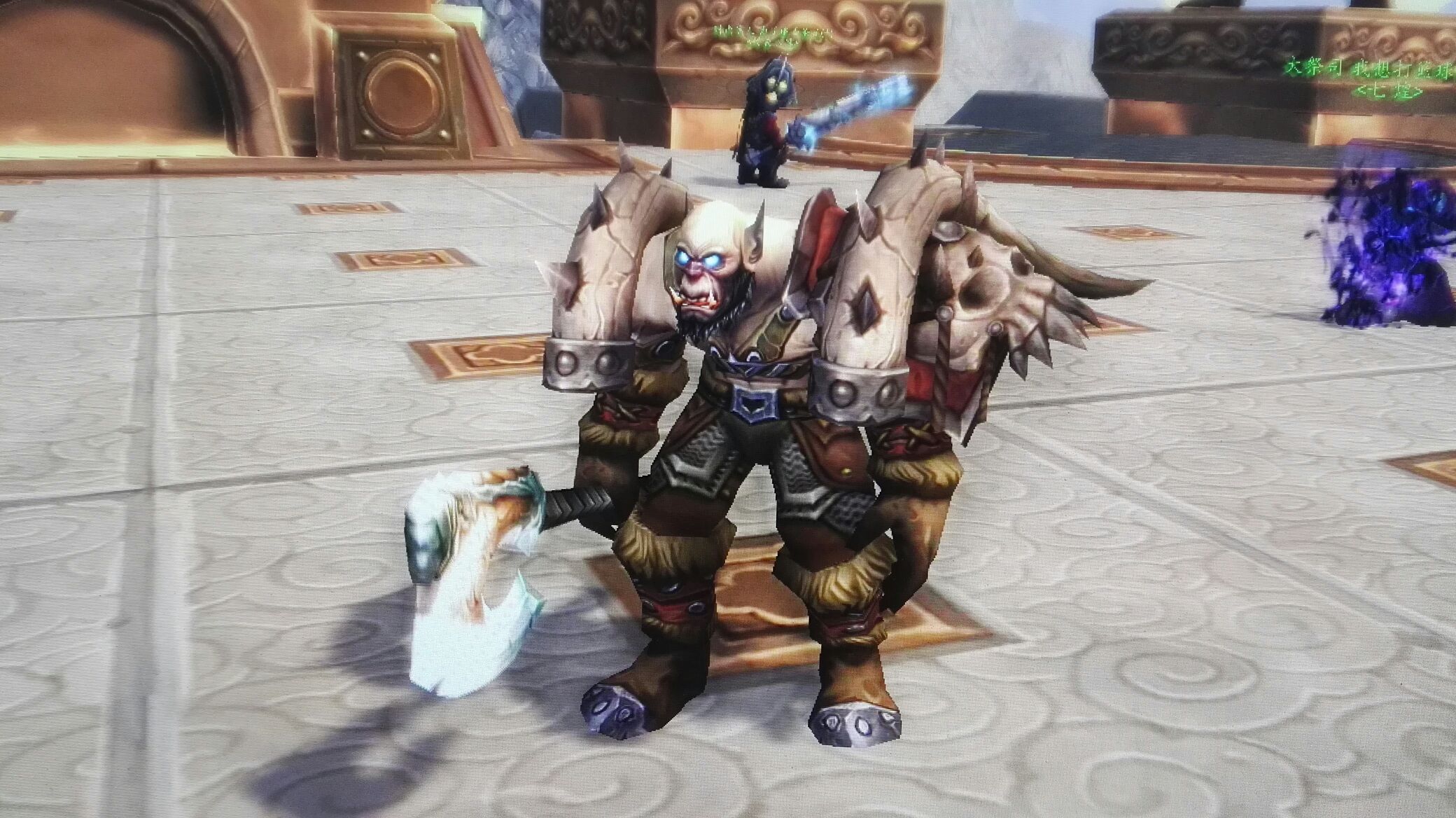 为了幻化玩个兽人dk还有没有别的搭配