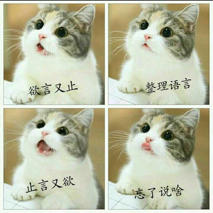 皇家前排贝爷爱丁堡塔爹还是贝爷爱丁堡可爹 求大佬告知下