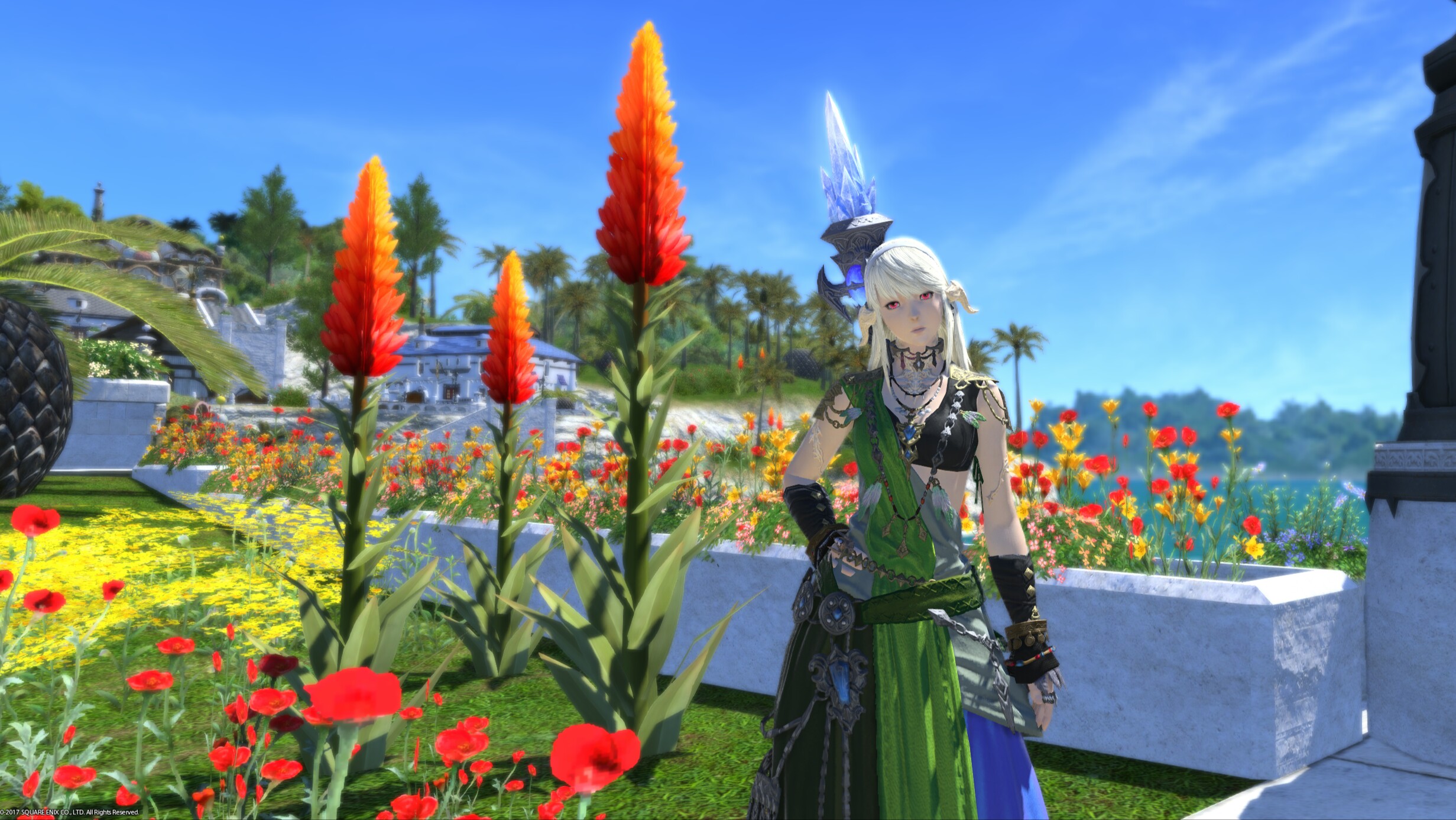 看到各种龙骑60校服幻化就脸红心跳