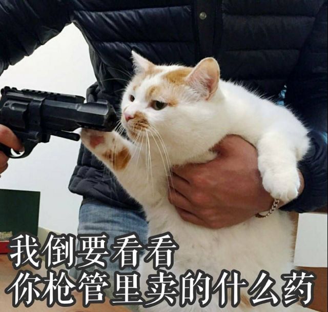 吴军大经理又发话了让我们等diya的石锤哦