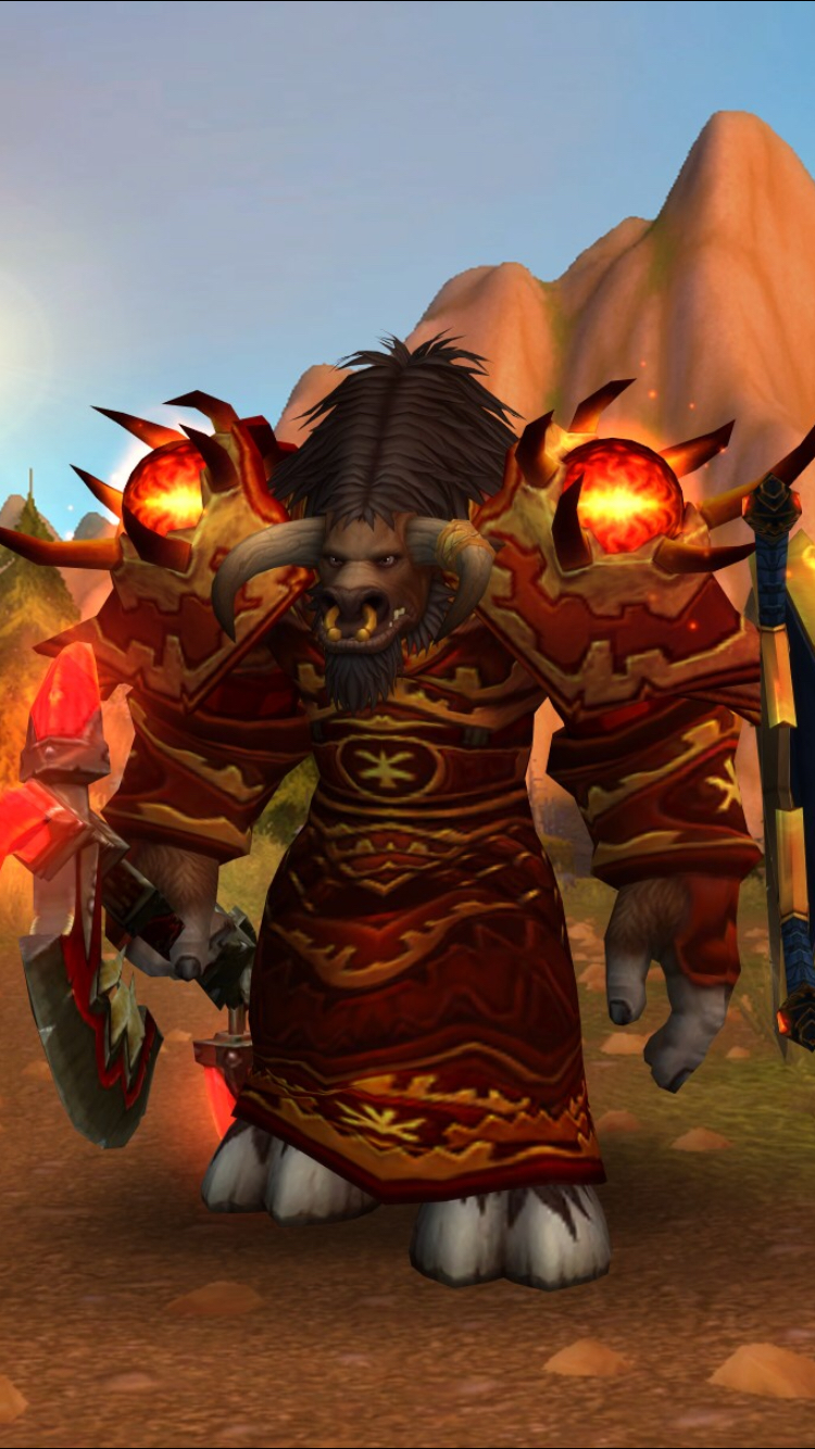 萨满祭司的装备哪个种族男性穿着最好看?