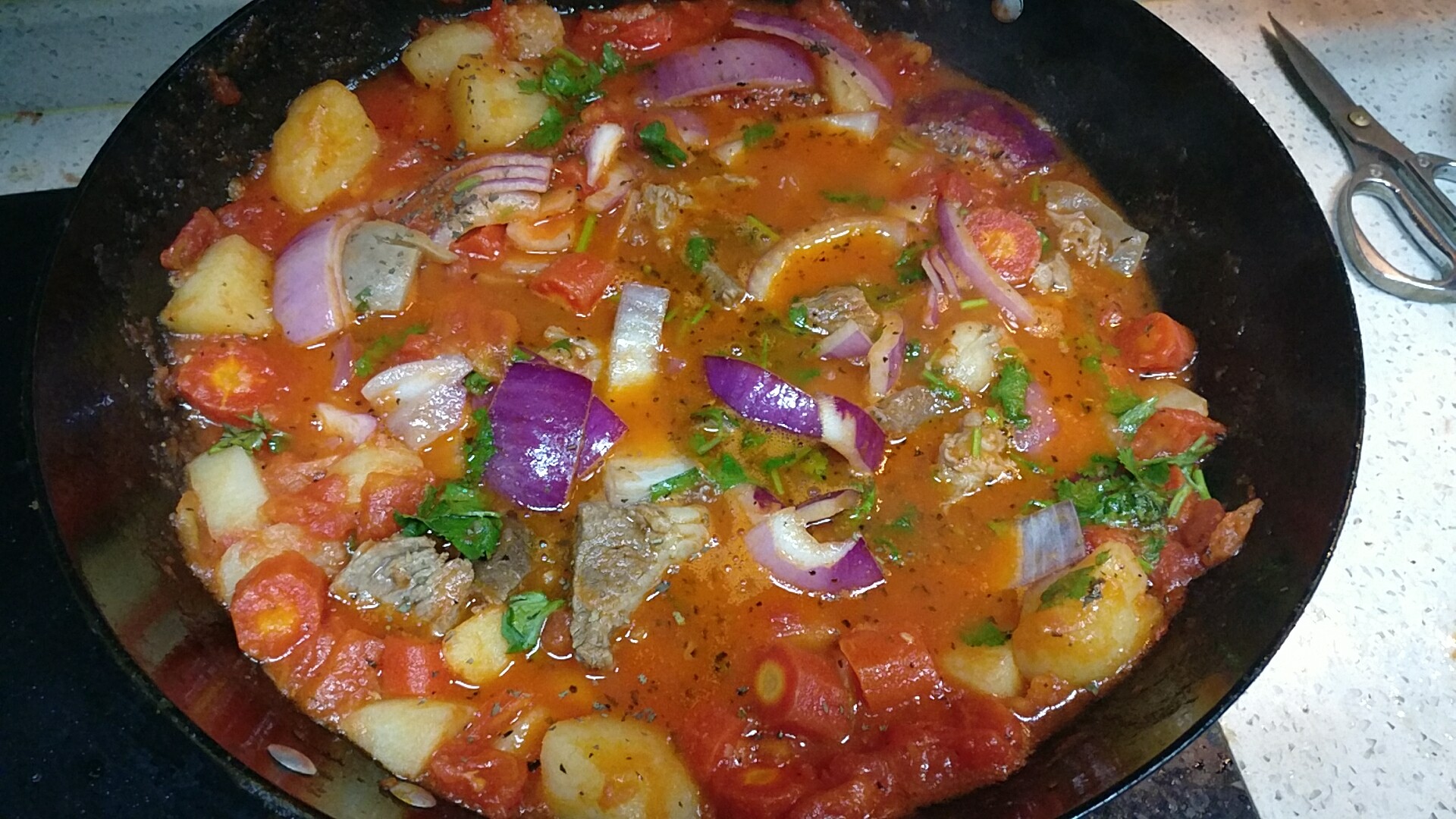 美食料理之----意大利红烩尝试!