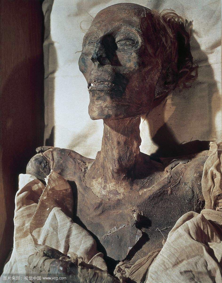 精神污染c你们要的拉2在这里了