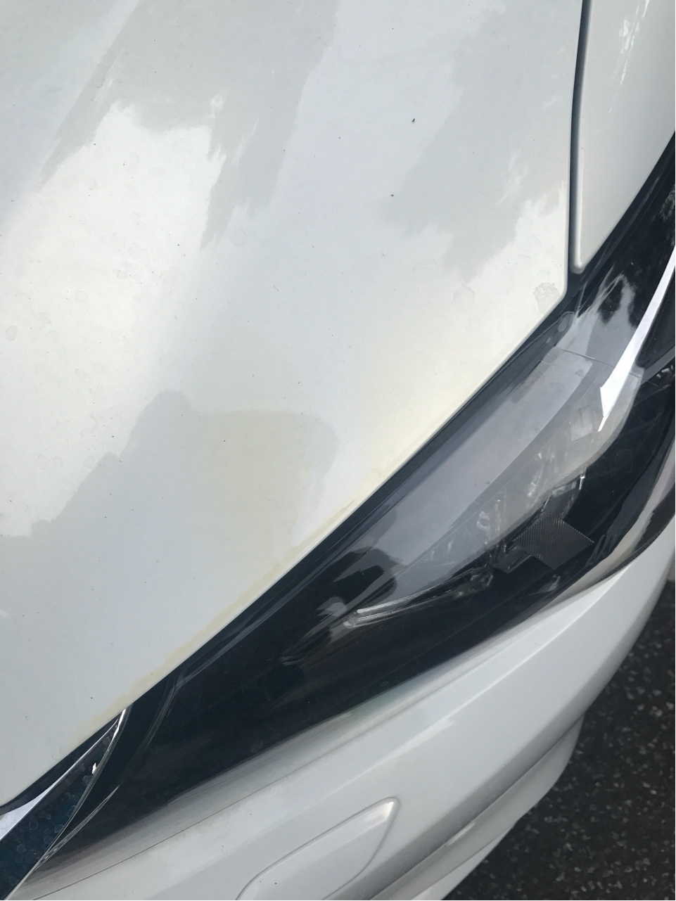 [求助]车上的水渍怎么搞?