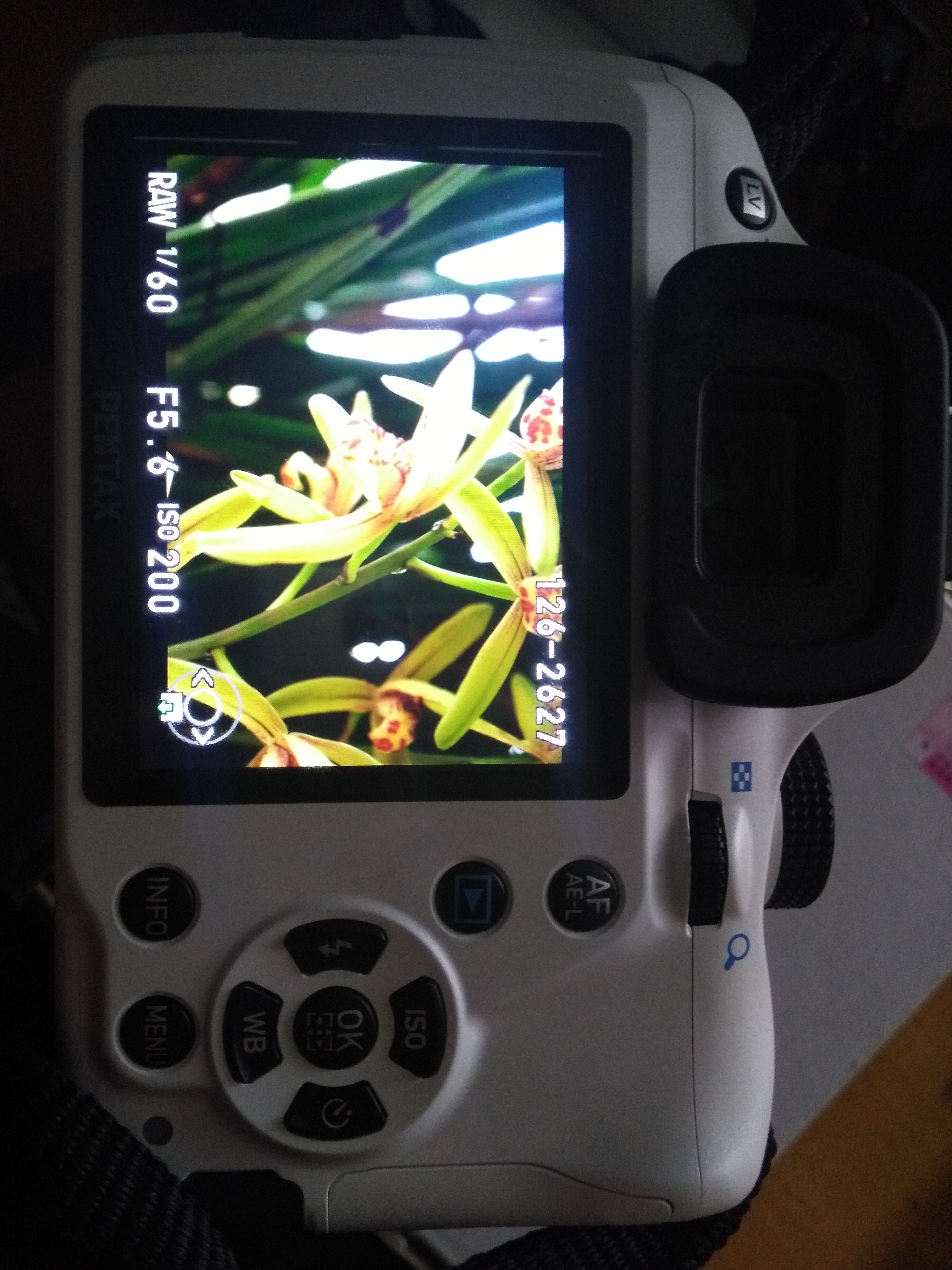 影像设备宾得黑白k501855狗头明盘1800暂出