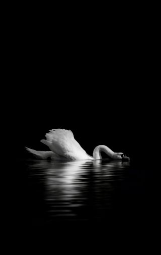 三星s8求手机壁纸