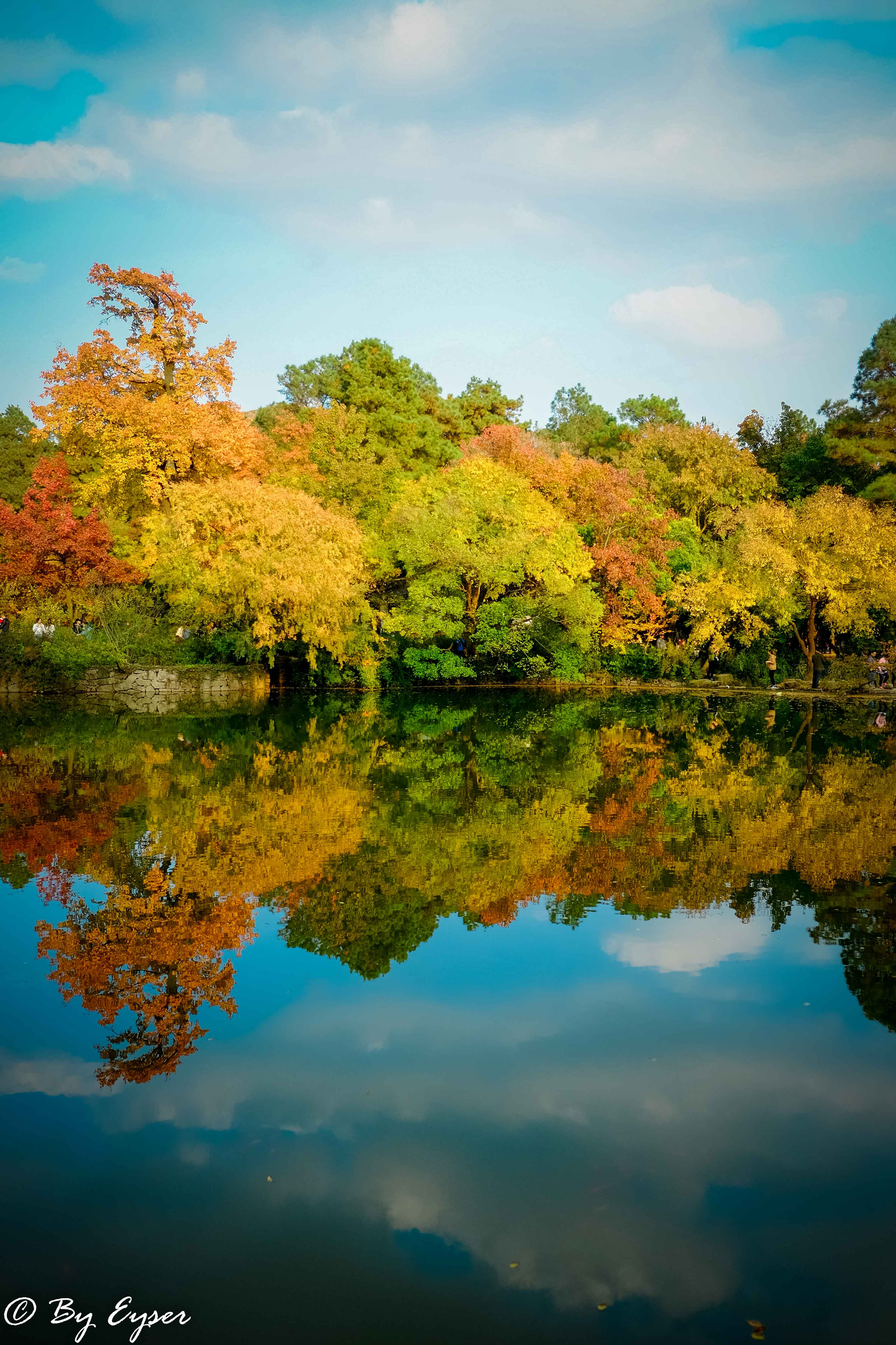 踏青摄影镜秋苏州天平山枫叶