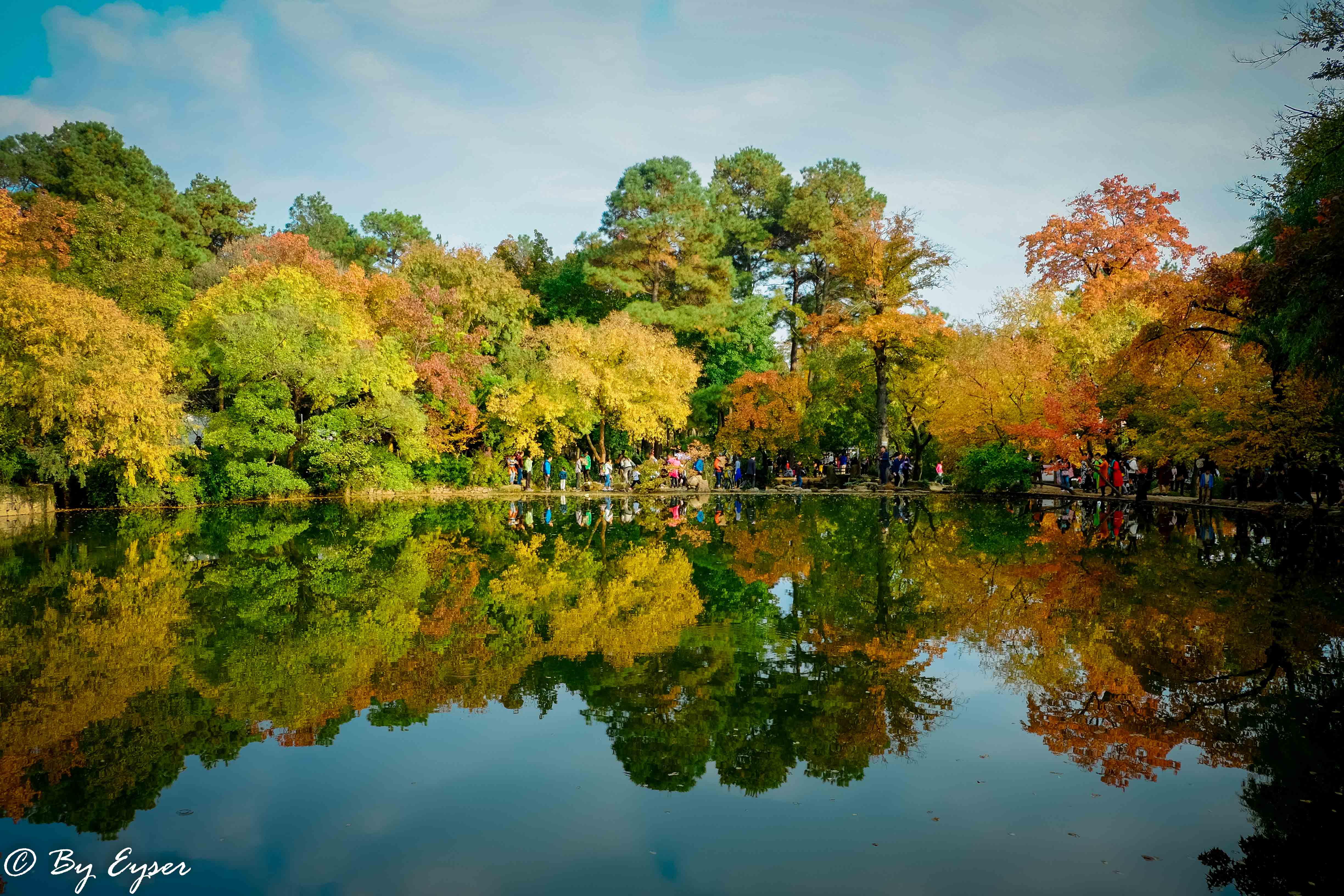 踏青摄影镜秋苏州天平山枫叶
