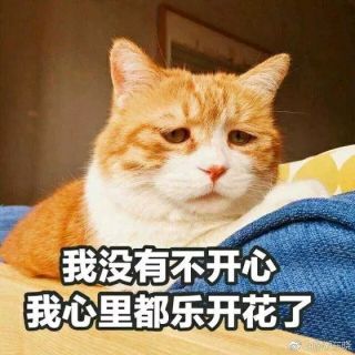 求一个脸上写满了开心的表情包