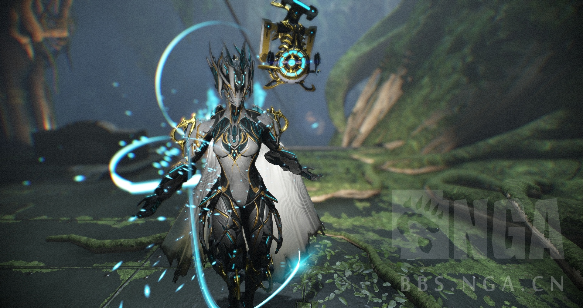 warframe求个明白人解答一下国服和国际服区别