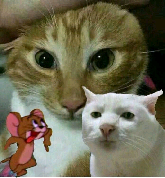 这个doinb是真的皮