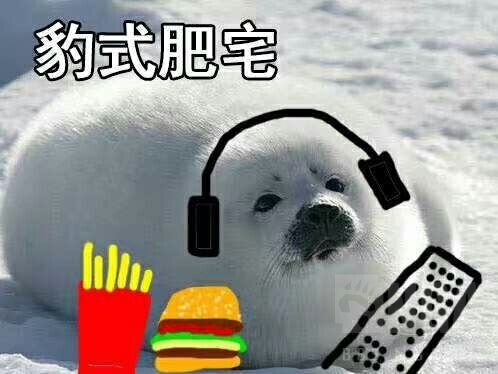 [失智前线]咸鱼丑新求一波少前表情包