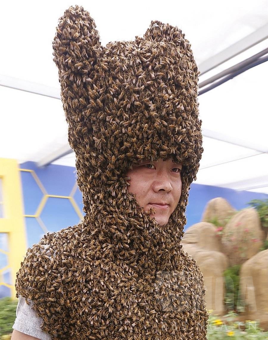 [讨论] 和大家分享下新英雄——蜂皇 的设计思路