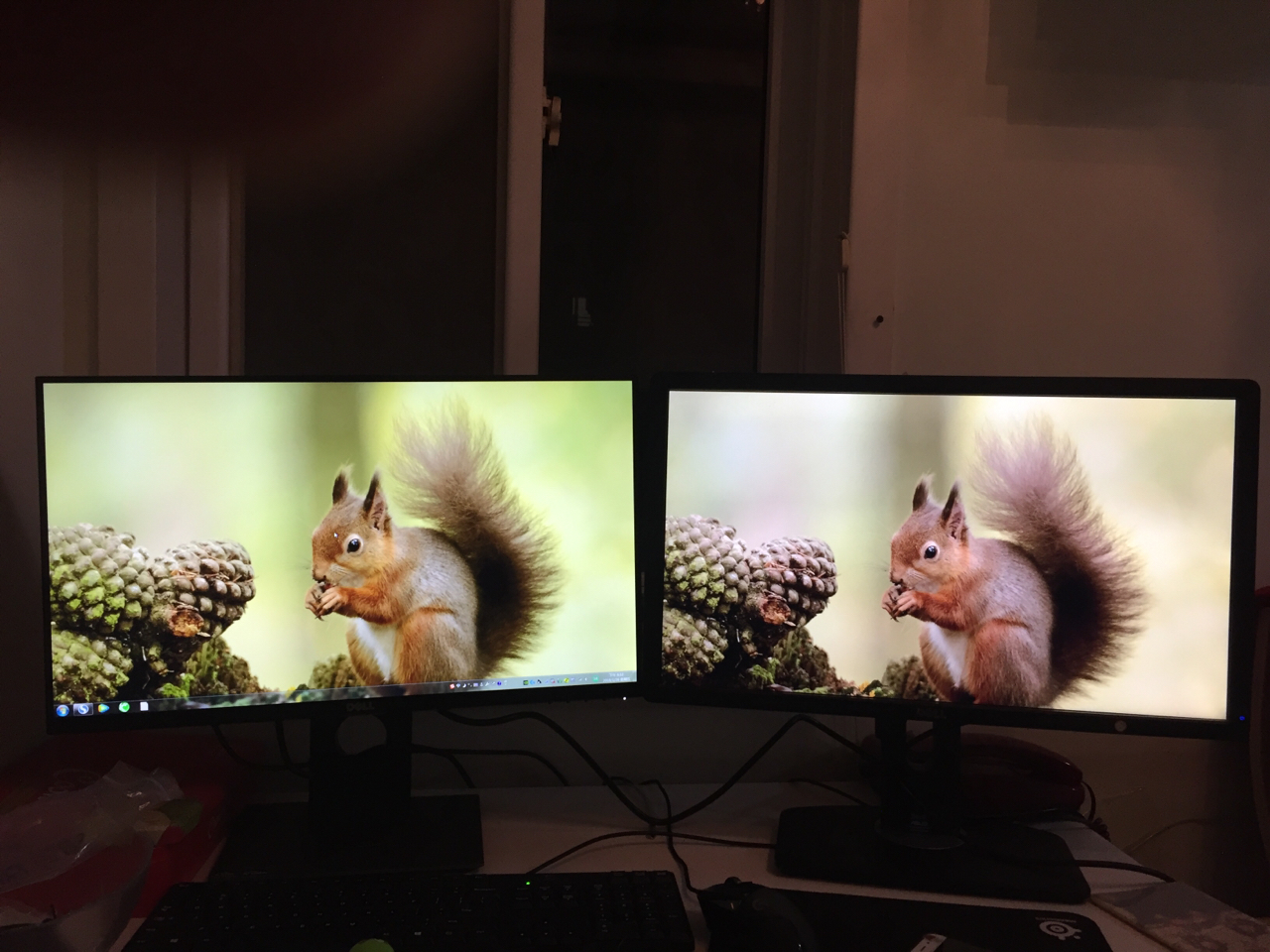 tn对比ipsdell比dell新鲜出炉