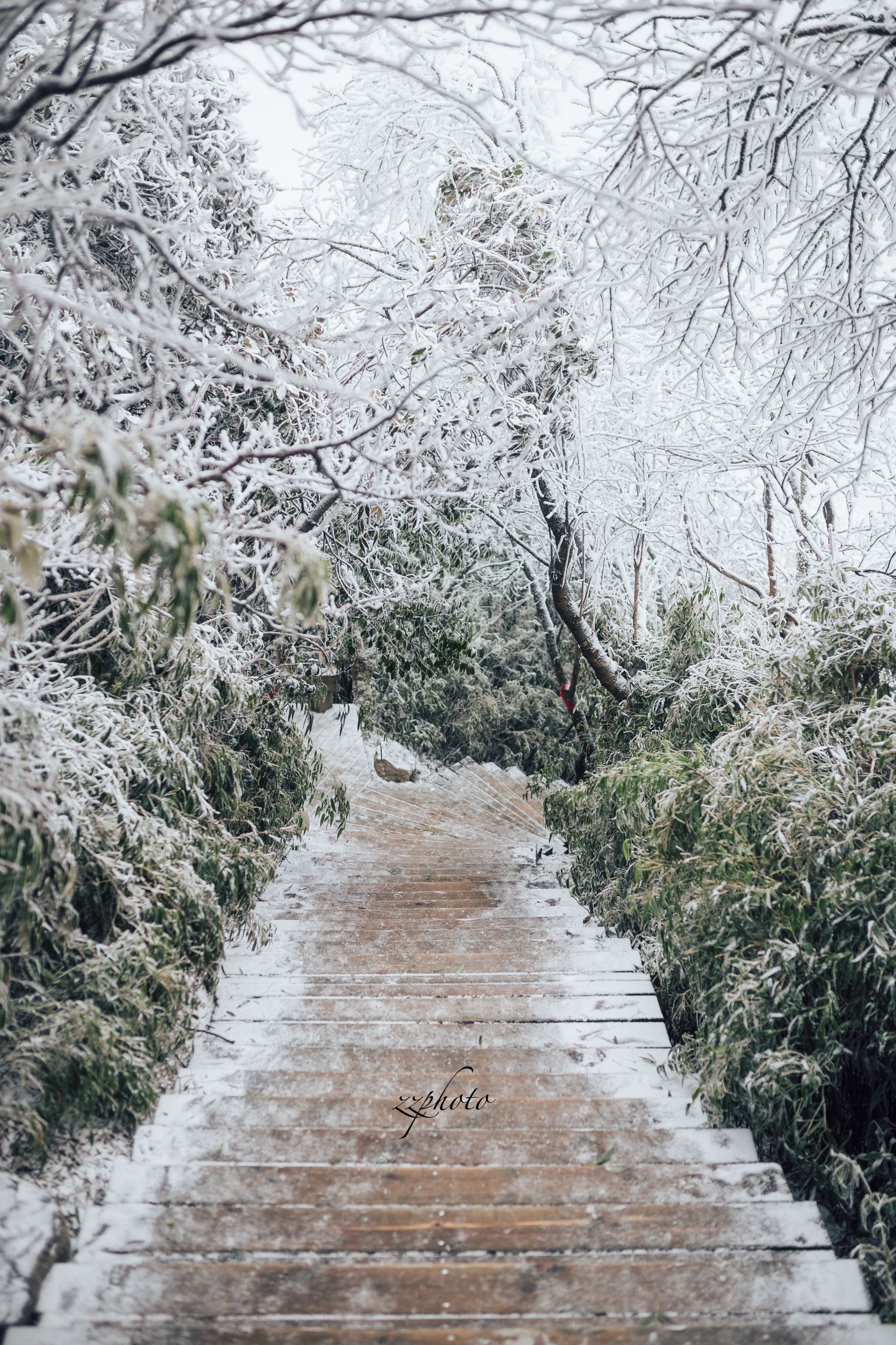 南方人难得见到雪雾太大只拍了几张
