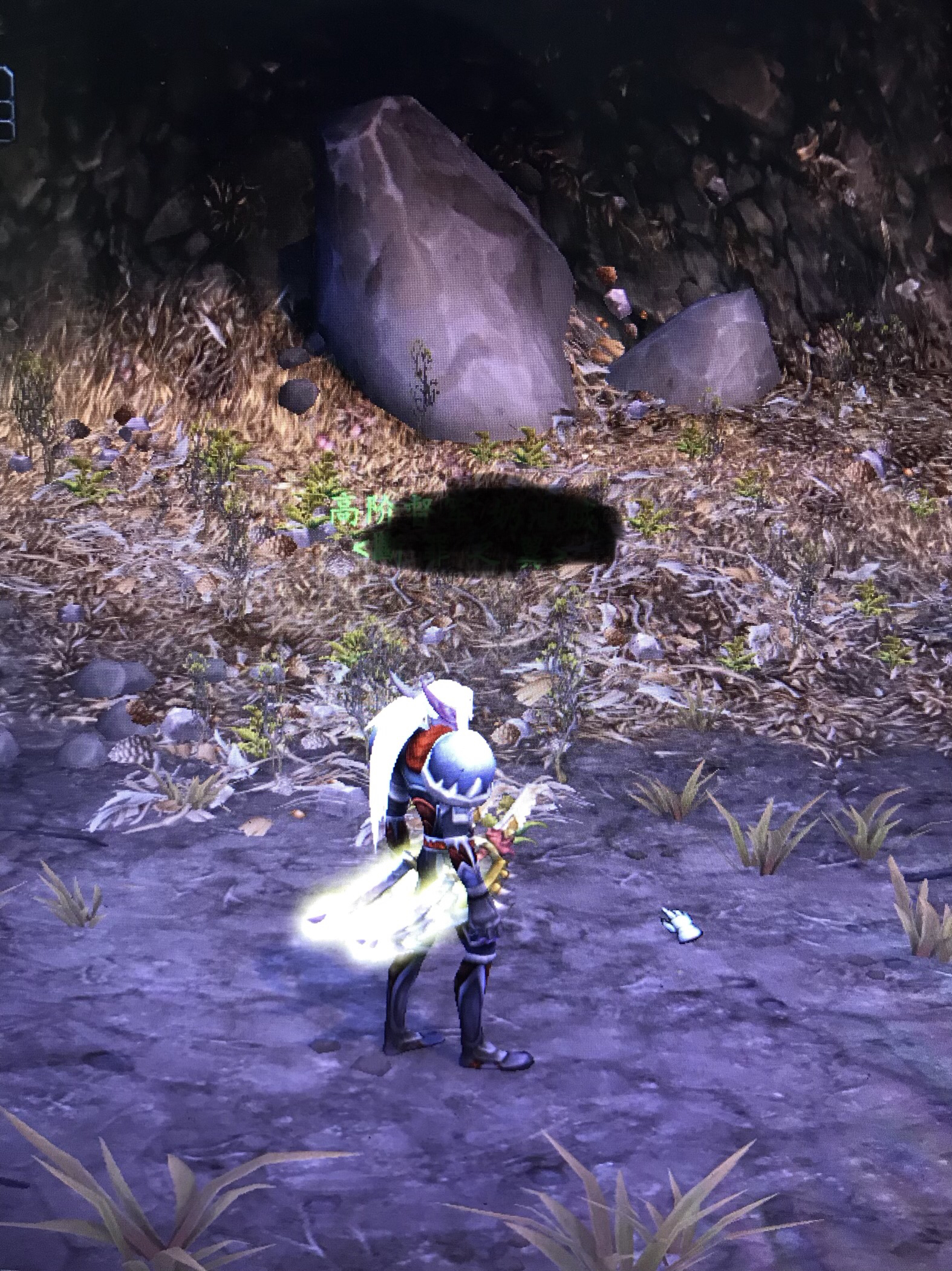 [分享]转了男夜之子盗贼,大图欣赏,蛮帅的!