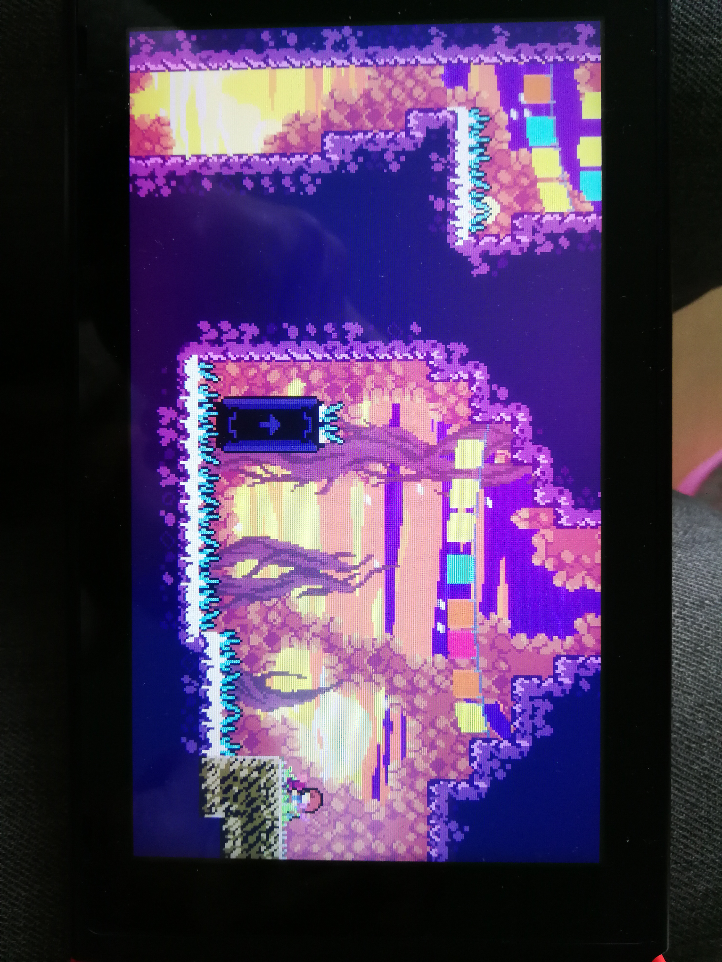 celeste卡关了求助一下已解决